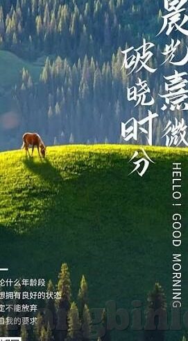 91麻豆精品国产自产在线观看你-尽享本土风情，91麻豆精品国产自产在线观看的多元魅力