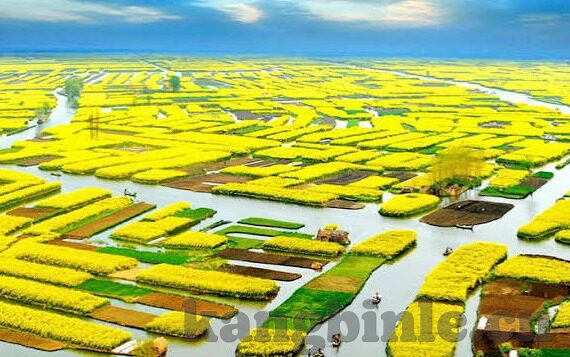 大象传媒在线直播观看-探索大象传媒在线直播，重塑娱乐与信息传播的新维度