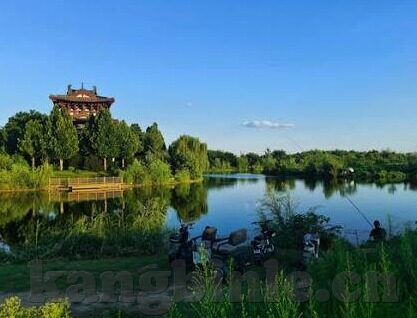 短篇小说伦理小说-短篇伦理小说的魅力，在字里行间探寻人性的光辉与暗影