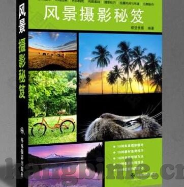国产午夜福利视频麻豆-剖析国产午夜福利视频的现象与反思