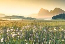 麻豆张芸熙视频-警惕网络诱惑，守护健康生活 —— 麻豆张芸熙视频背后的思考