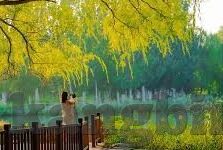 糖心vlog网站邀请码-解锁生活趣事，见证糖心Vlog网站的魅力邀请
